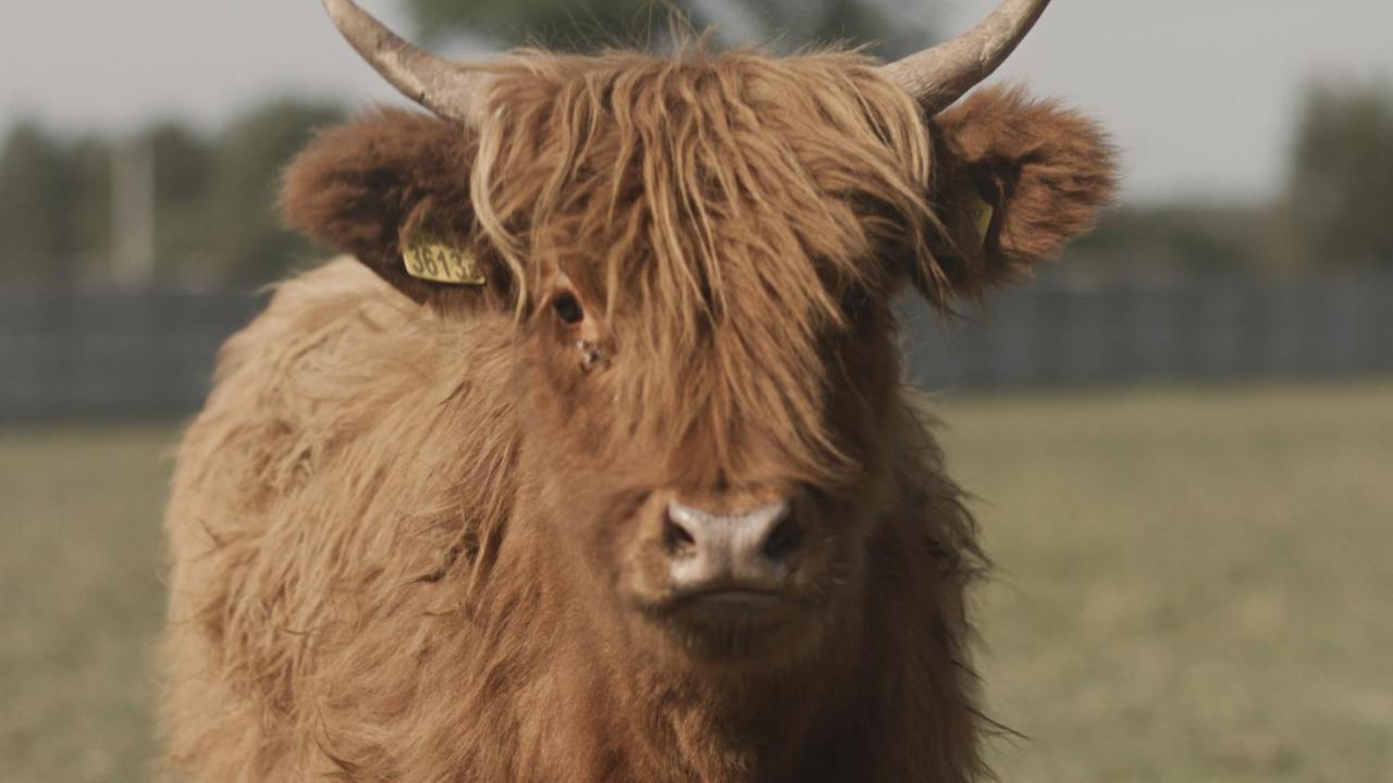 Tatarska Zagroda - domek Danielek Krosnice Zewnętrze zdjęcie